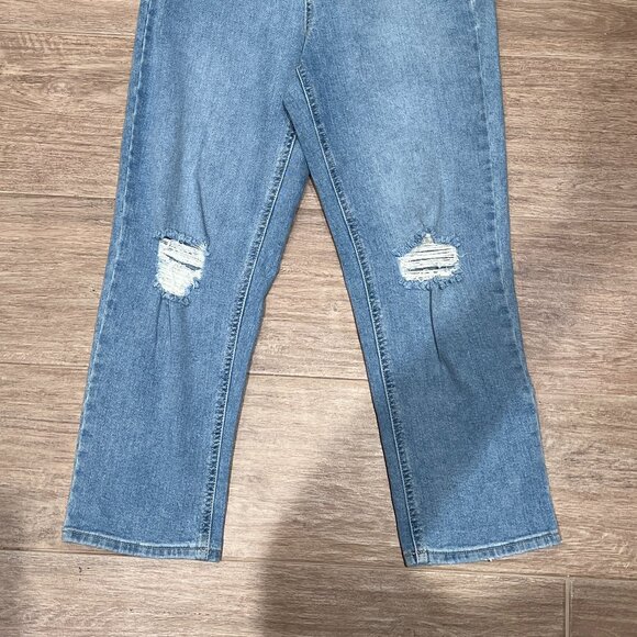 Jessica Simpson throwback vintage straight, size 26, nwt - Picture 2 of 3